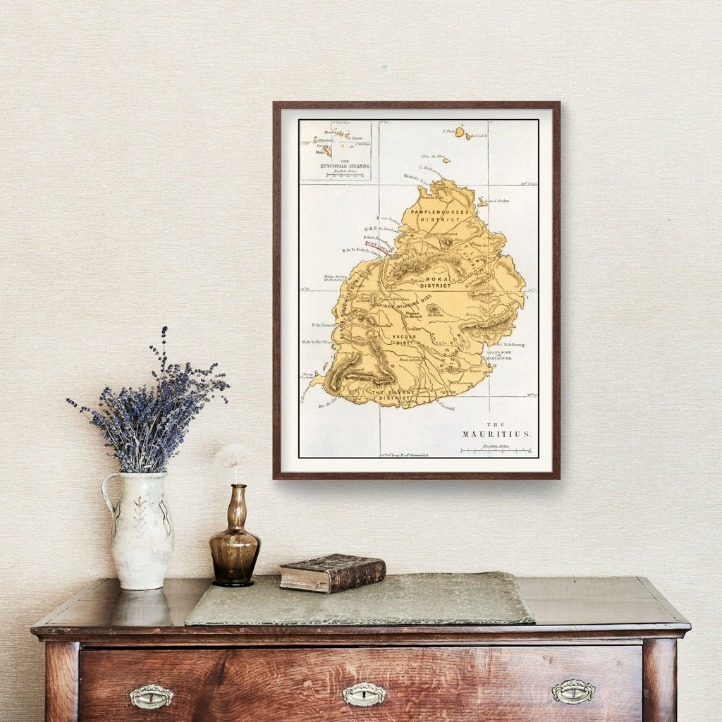 Vintage Map of Mauritius, 1862