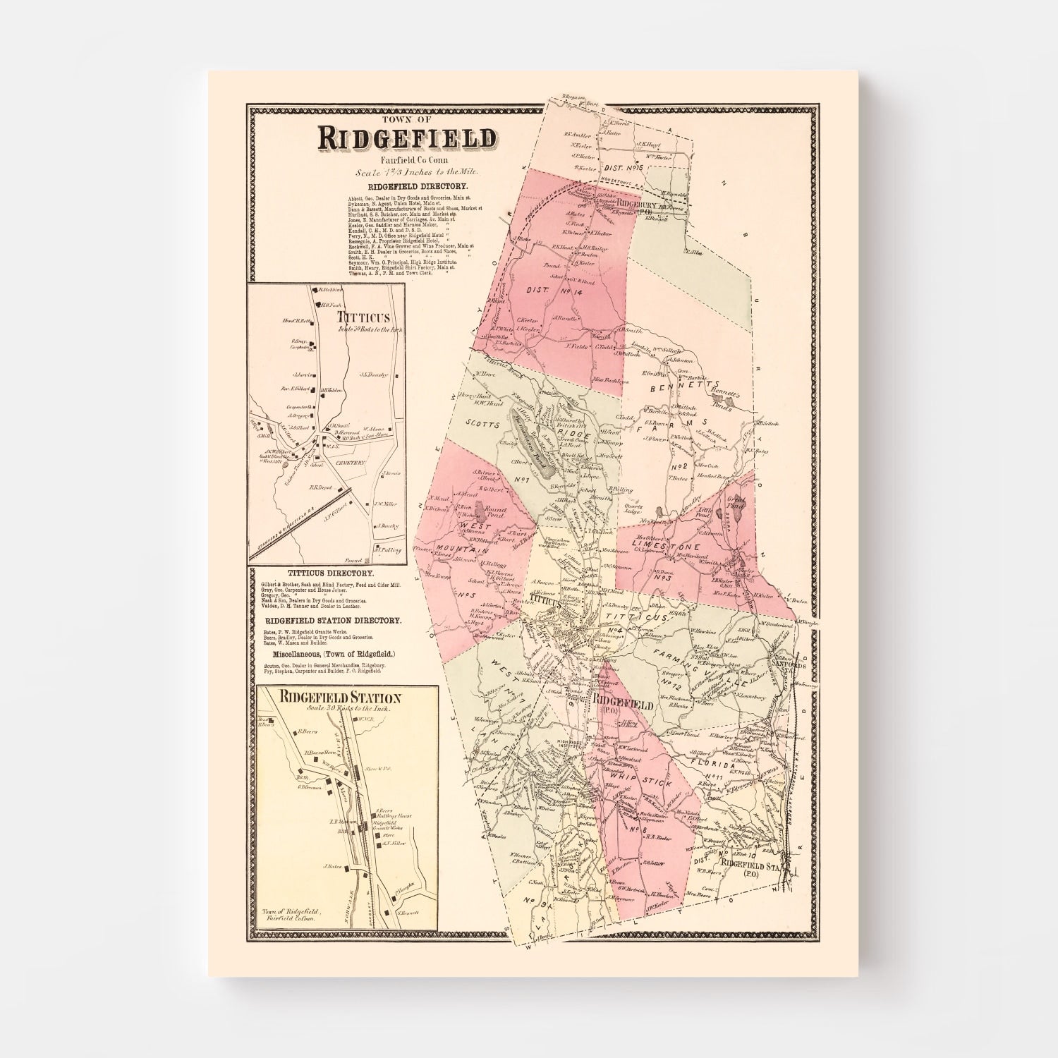 Vintage Map of Titticus, Connecticut 1867
