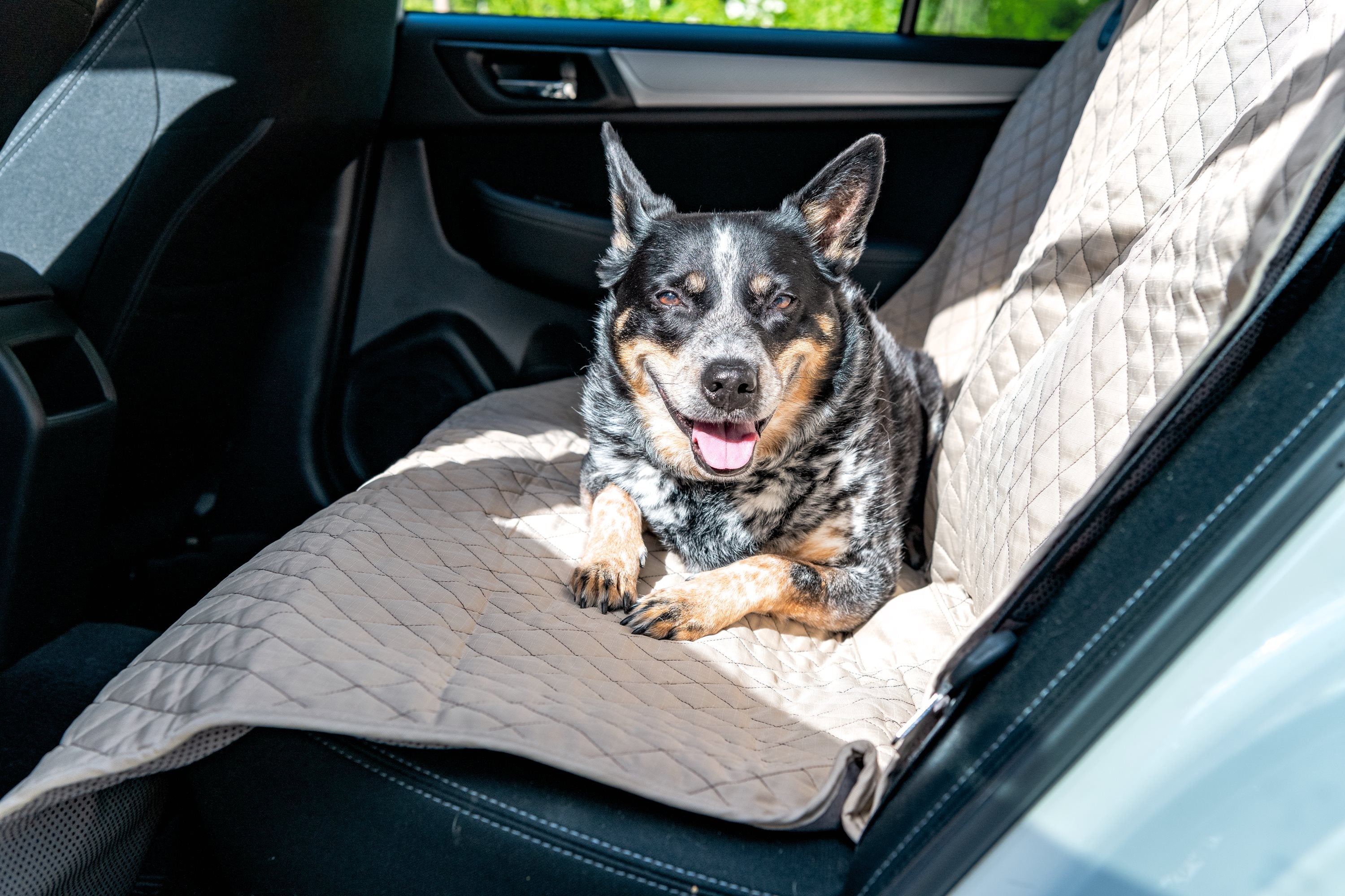 TuffutLuxx® Vehicle Protectors for Travel