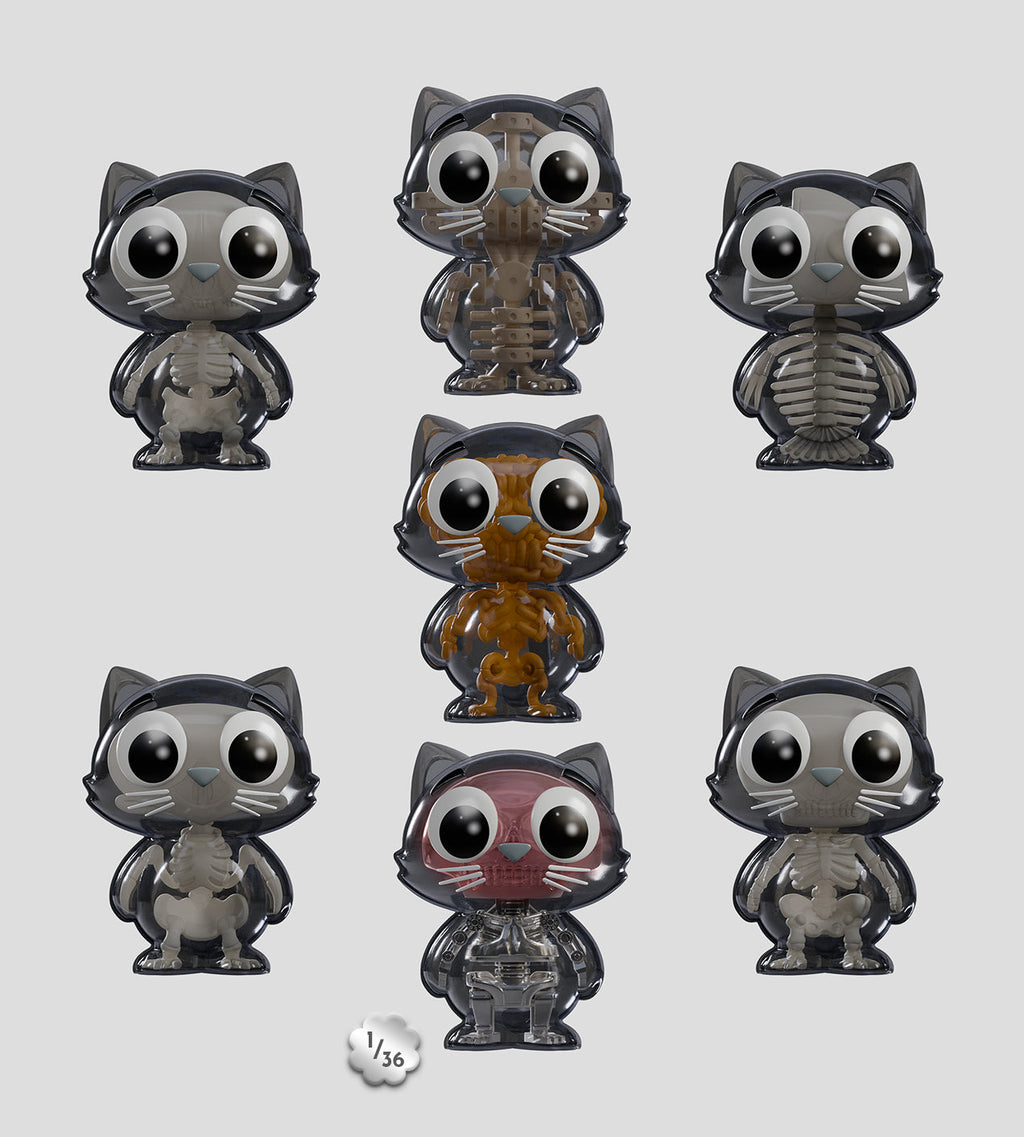 Catscans Bare Bones Blind Box - Charlie the Cat X-Ray Series by Kaleidos Creative