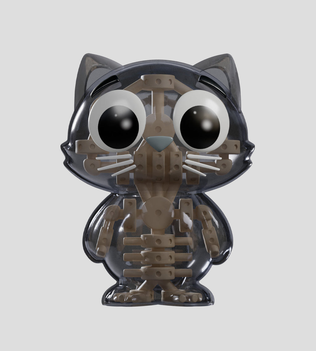 Catscans Bare Bones Blind Box - Charlie the Cat X-Ray Series by Kaleidos Creative