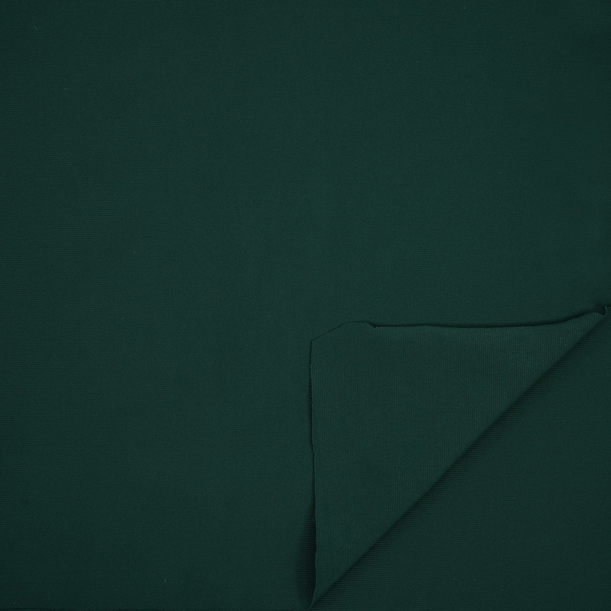HK414 - Feather Microfiber Nylon Spandex Jersey Fabric | Blue Moon Fabrics