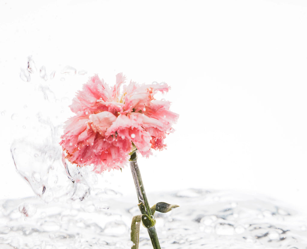 Floral Essence Fragrance Discovery Set