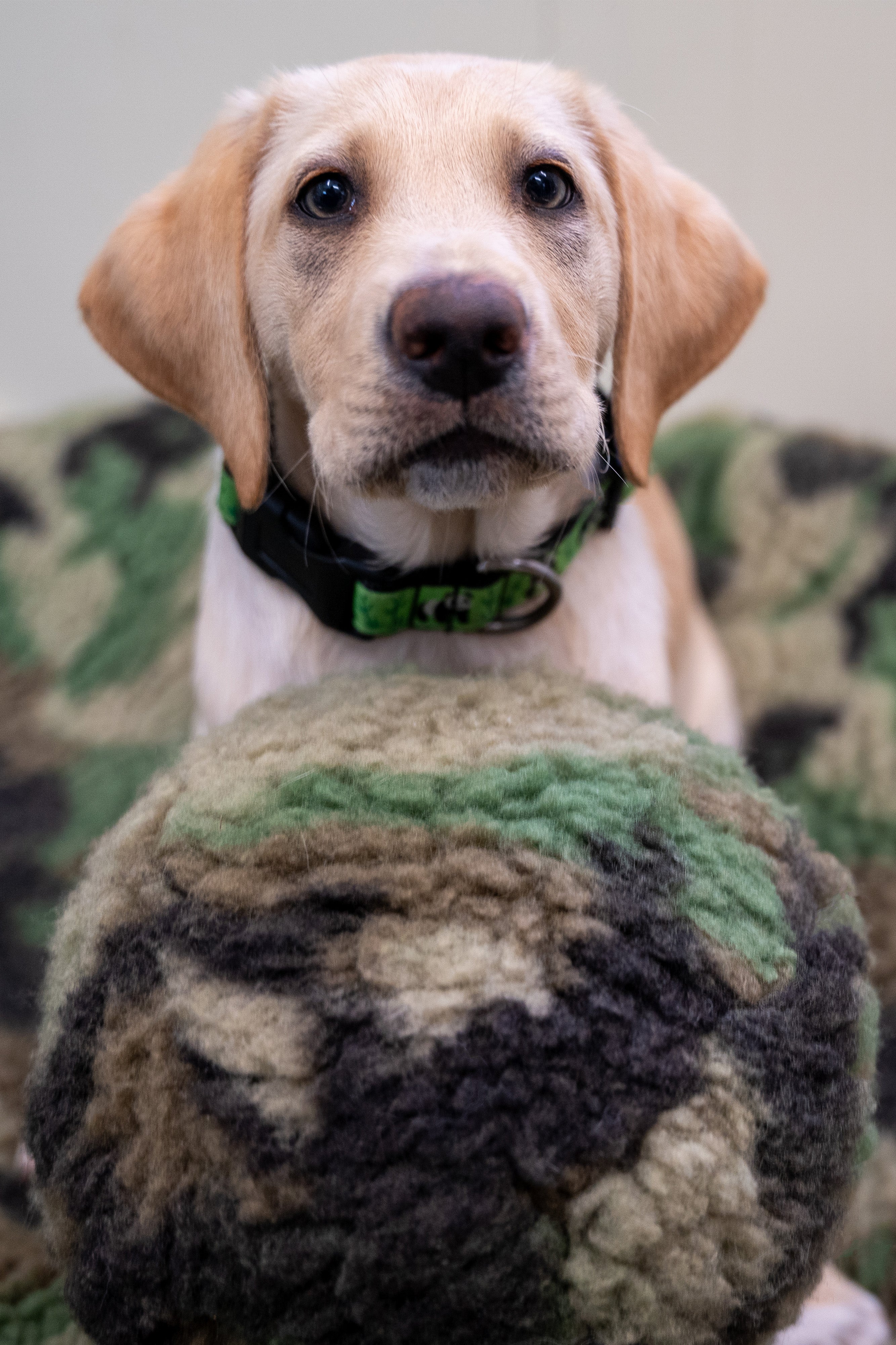 HuggleCause™, Warrior Canine Connection, Camouflage HuggleFleece® Plush Ball Dog Toy