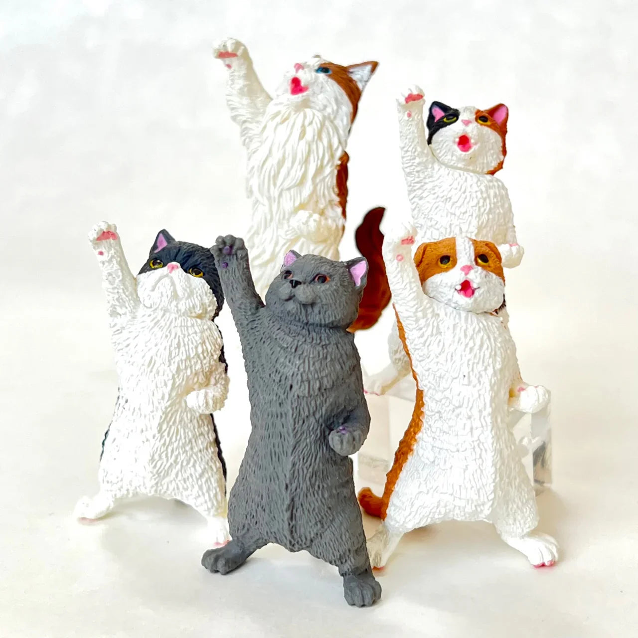 NYAOOO! POWER CATS BLIND BOX (1 Blind Box)