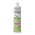 Vita Seiva Rosemary Hair Grow Fortifying Shampoo 8.4floz 250ml