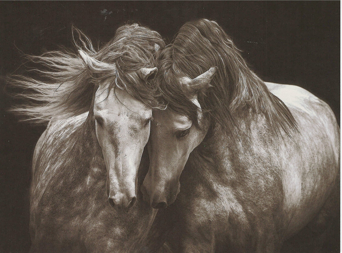 Kindred Spirits Greeting Card -  Blank Card