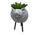 Faux Green Succulent In Planter - Pig