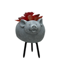 Faux Red Succulent In Planter - Pig