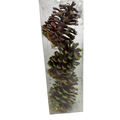 3 Count Glittered Natural Pinecone Ornament - Green