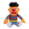 Sesame Street Ernie Beanbag