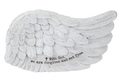 Angel Wing - With God, We Are Forgiven