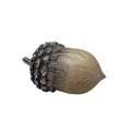Resin Textured Harvest Acorn - Medium