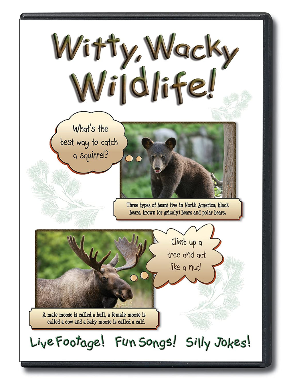 Witty, Wacky Wildlife DVD