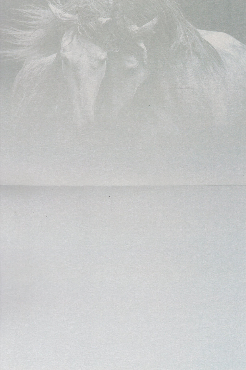 Kindred Spirits Greeting Card -  Blank Card