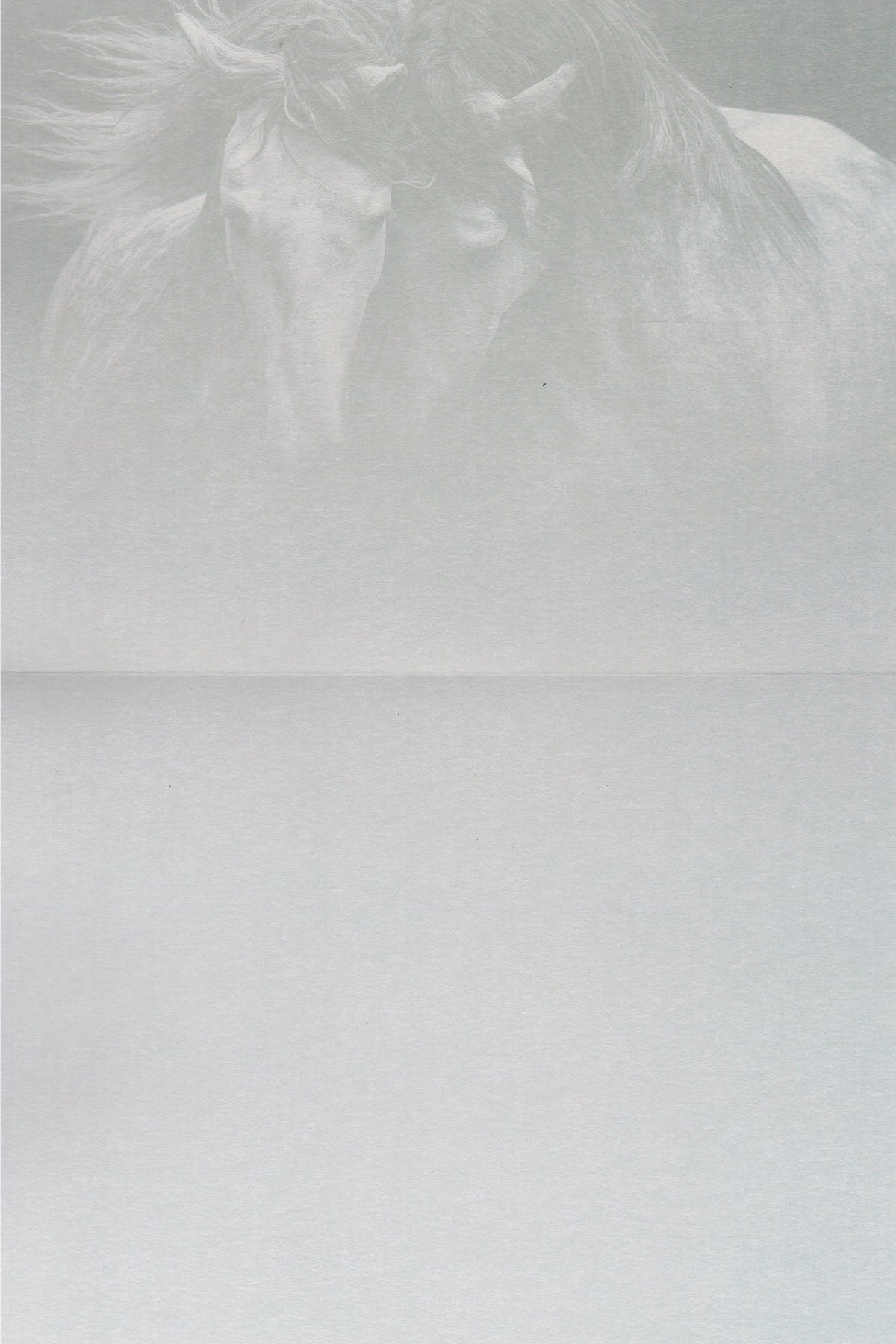 Kindred Spirits Greeting Card -  Blank Card