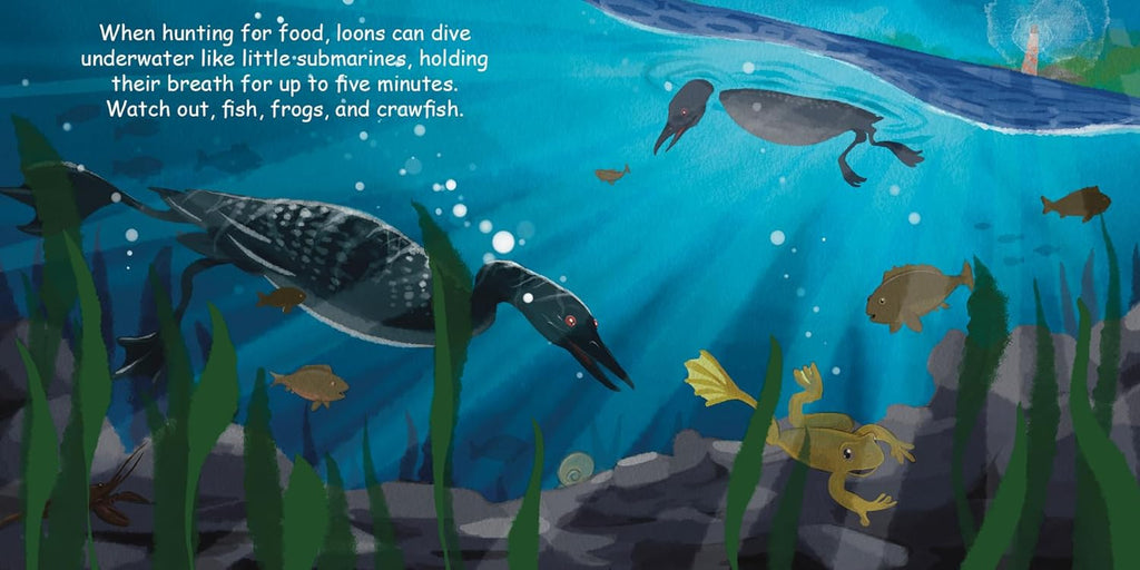 Good Night Board Book - Loons