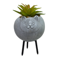 Faux Light Green Succulent In Planter - Cat
