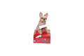 French Bulldog with Bone Ornament