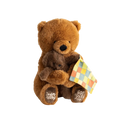 Today and Always - Mama And Baby Bear Plush Set