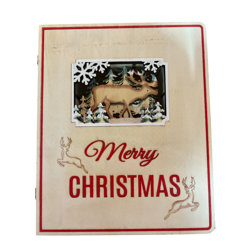 Merry Christmas Advent Book