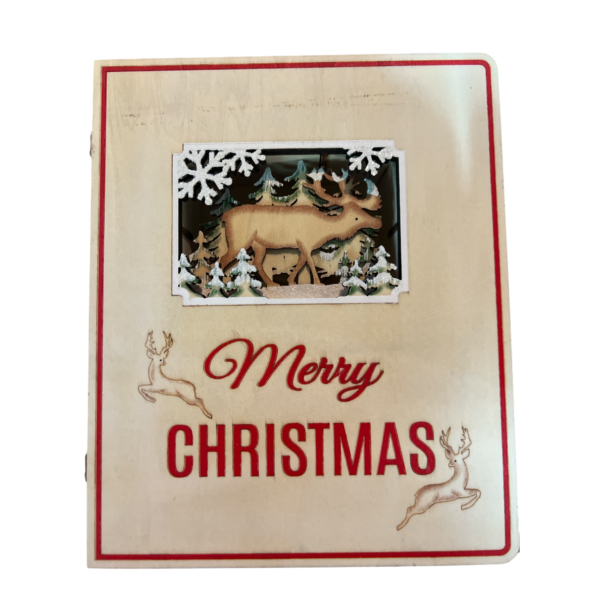 Merry Christmas Advent Book