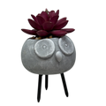 Faux Purple Succulent In Planter - Owl