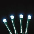 USB powered 100 LED (26 foot) Green Wire Multifunction Lights with Timer - Cool White