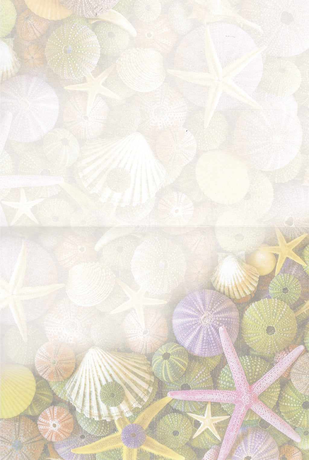 Ocean Treasures Greeting Card -  Blank Card