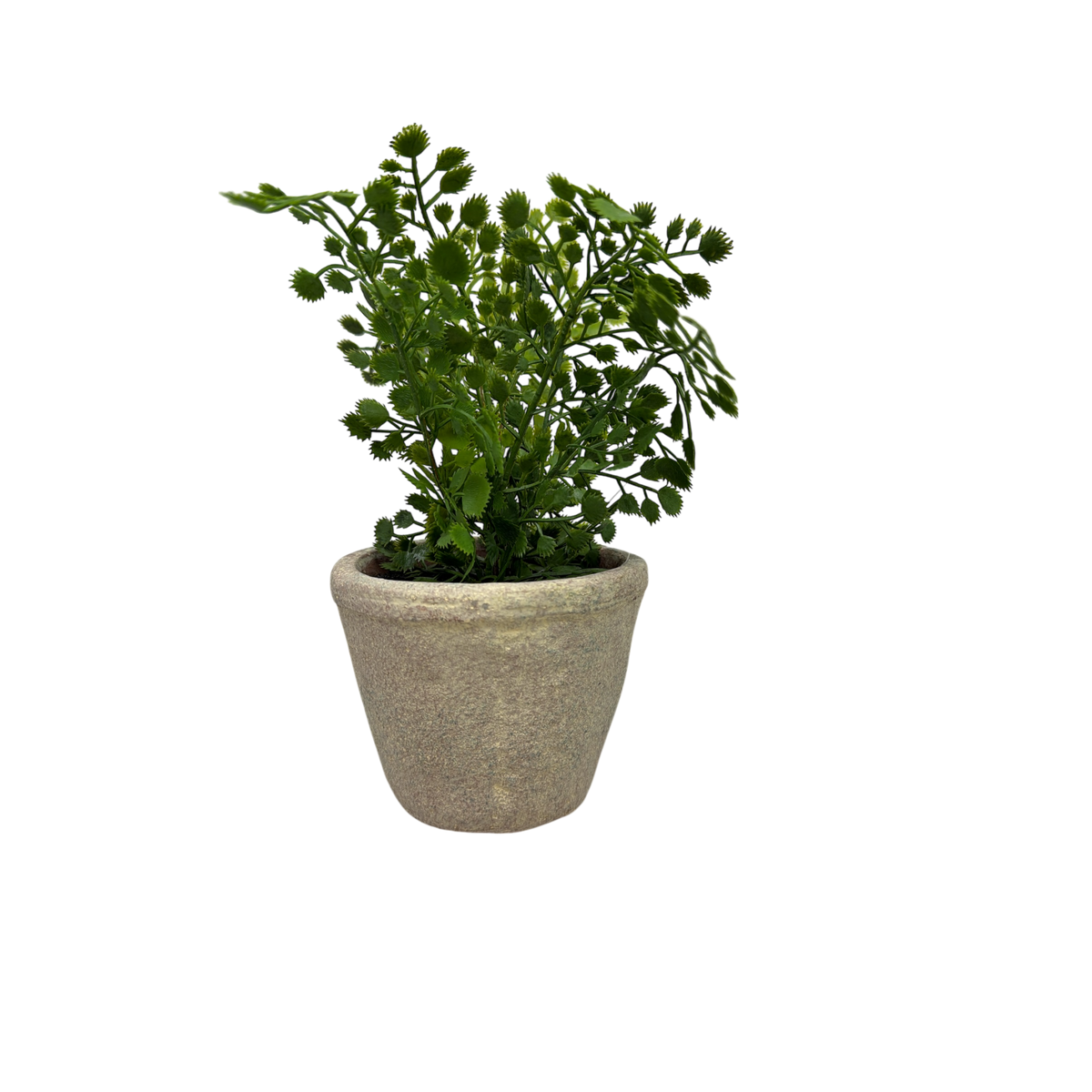 Faux  Fern in Cement Pot