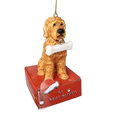 Red Goldendoodle with Bone Ornament