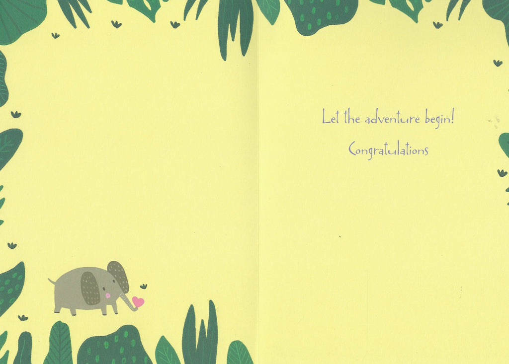 Welcome Little Friend   - New Baby Card