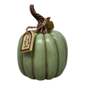 Charming Harvest Pumpkin -