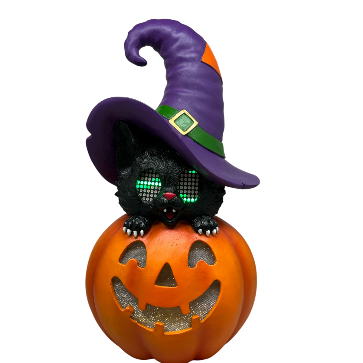 Cat On Pumpkin  With Moving Digital Eyes