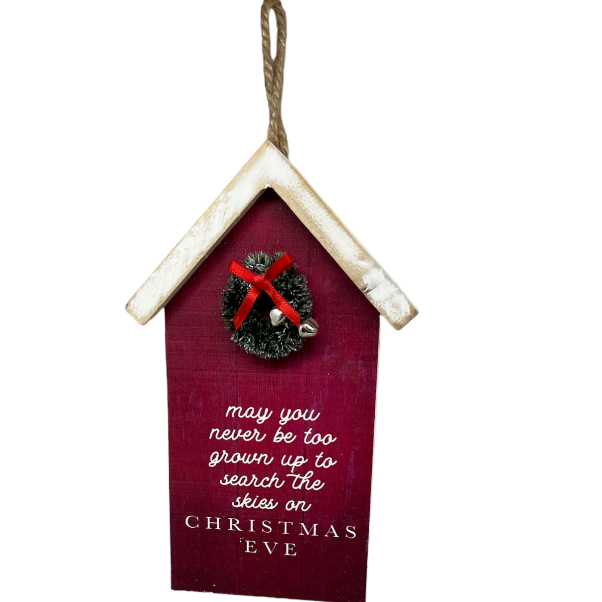 Search The Skies Wooden Ornament
