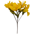 14-Inch Autumn Lily Bush