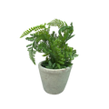Faux  Boston Fern in Cement Pot