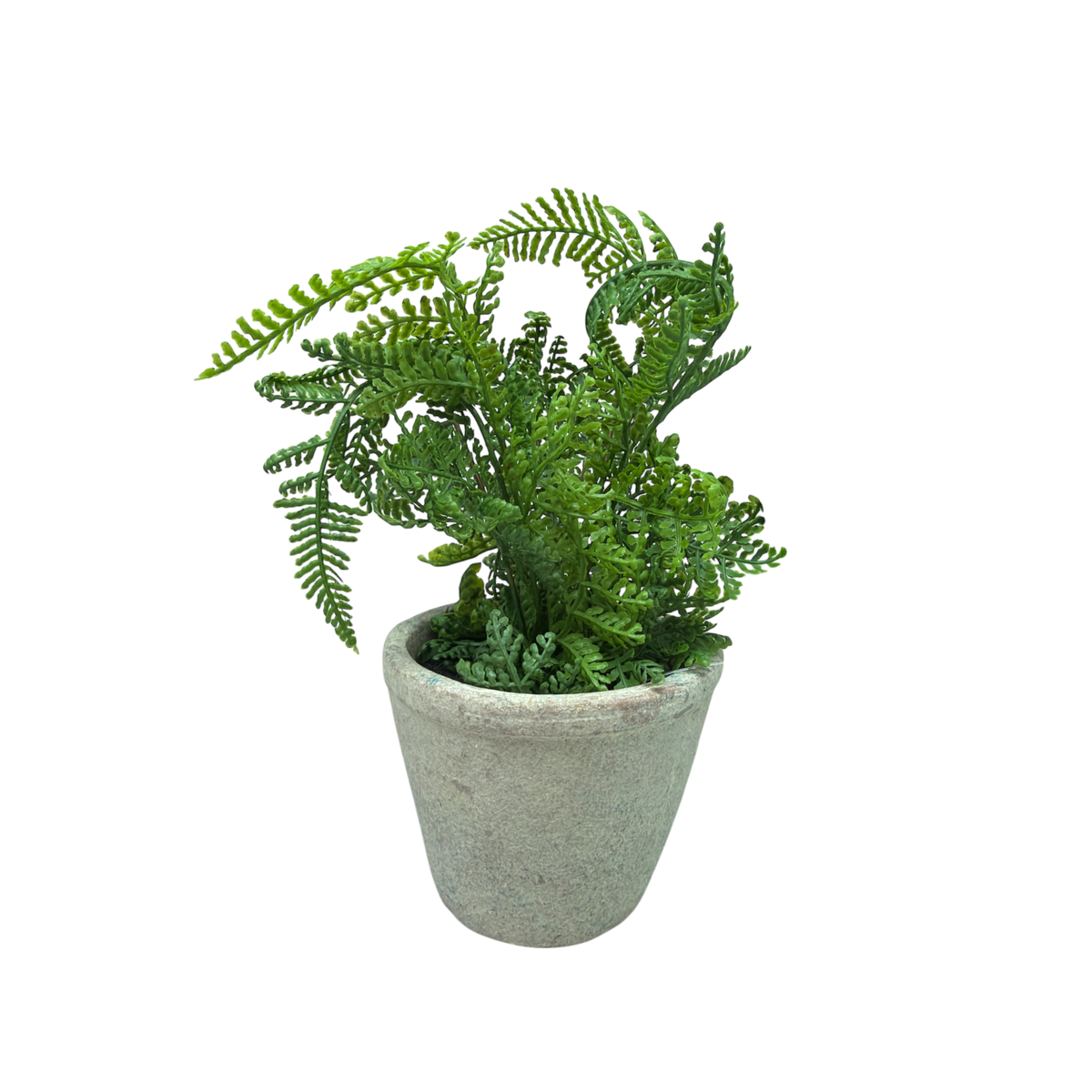 Faux  Boston Fern in Cement Pot