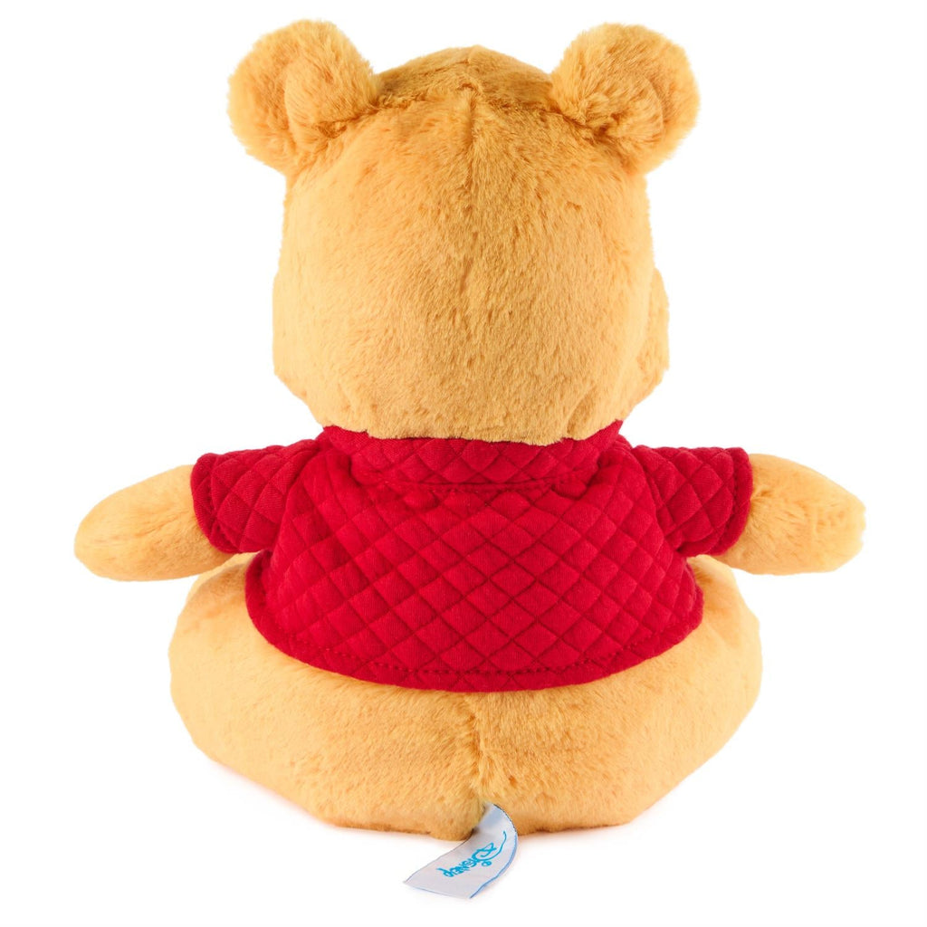 Oh So Snuggly Winnie The Pooh