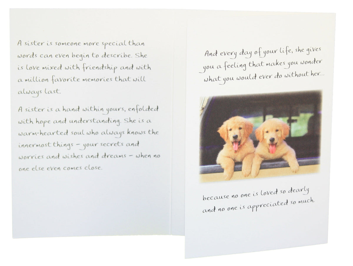 How Do You Tell A Sister How Wonderful She Is - Greeting Card