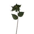 30-Inch Green Burlap Pointsettia Stem