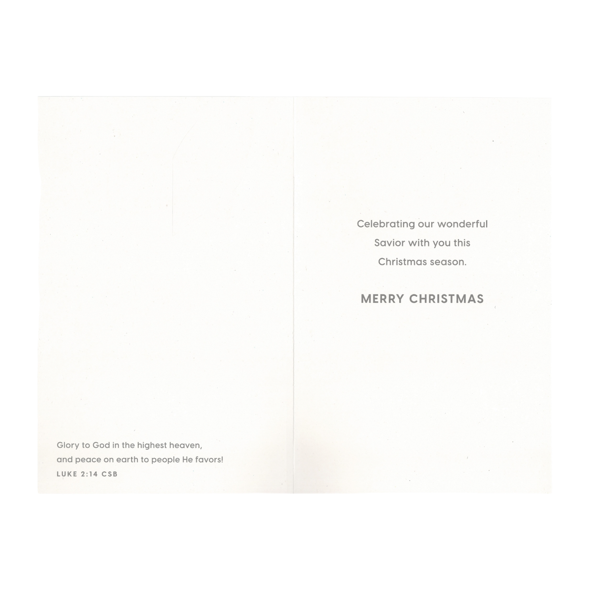 Tony Evans - Christ is the Meaning - 18 Cards