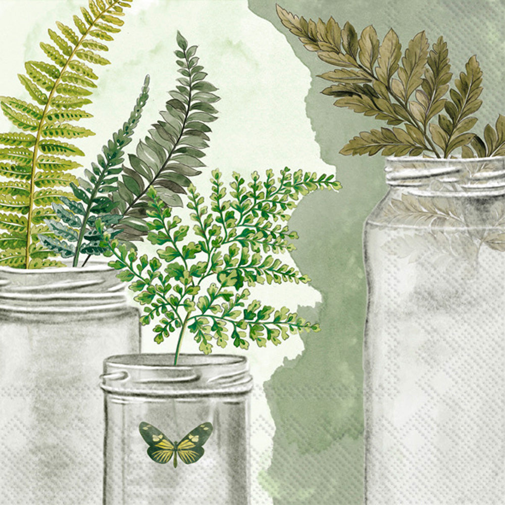Fern - Cocktail Napkin