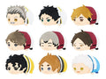 Haikyuu!! Mochi Mochi Mascot Vol.5 Blind Box – SK Japan