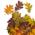 Bag of 36 Faux Harvest Leaves