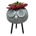 Faux 2 Tone Succulent In Planter - Owl