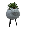 Faux Green Succulent In Planter - Mouse