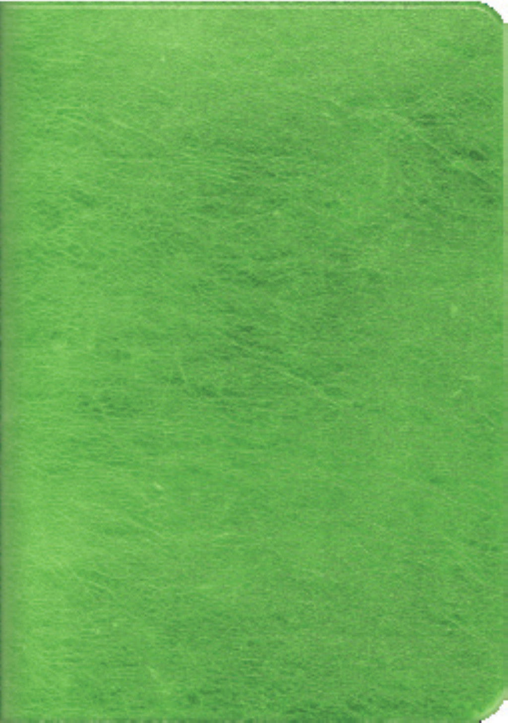 Soft Cover Foil Cover Mini Notebook 3 pack - Green/Gray/Red