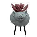 Faux Pink Succulent In Planter - Pig