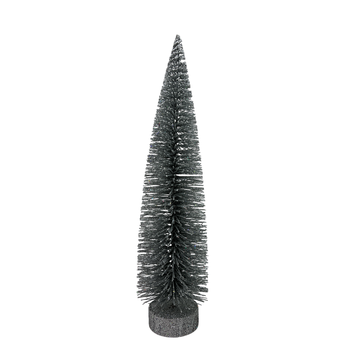 Silver Bottle Brush Tree